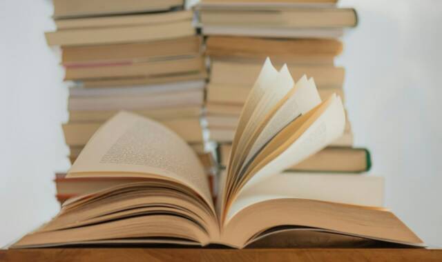 Elisa calvet b S3n U Oq Dm Uvc unsplash