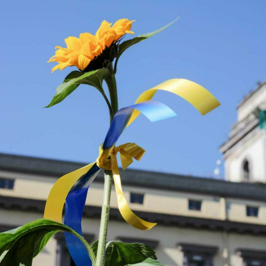 Nati melnychuk K s Eoh Nr H Dk unsplash