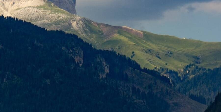 Masthead Priorities Mobile