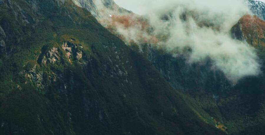 Masthead Programmes Mobile